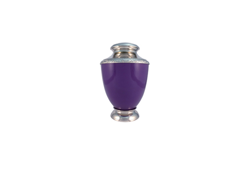 Silver Violet